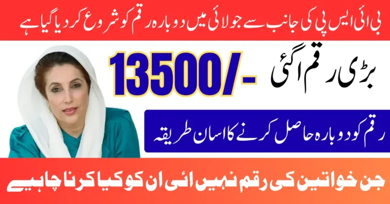 BISP Punjab July 2025 Payment Restarted A Complete Guide for Eligible Families