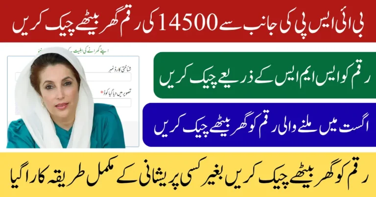 Check BISP 14500 28 July 2025 Payment Status Know Full Details Step By Step