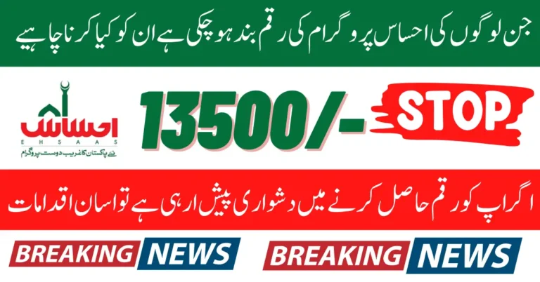 Ehsaas Payment Issue Solution 2025 For Registered Women Know Full Details Step By Step