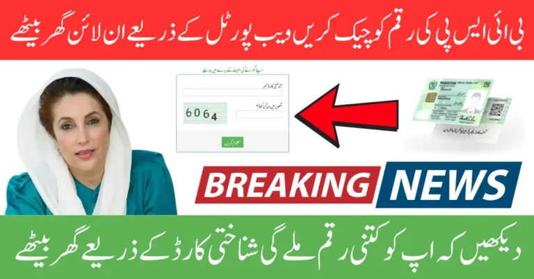 BISP Eligibility Check Portal 8171 Online Verify 13500 Using CNIC Full Guide 2025