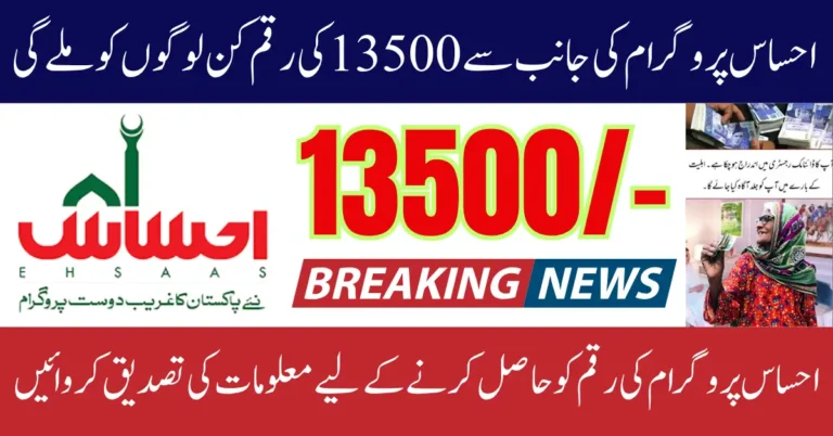 Ehsaas 8171 New Payment 2025 Results by CNIC Using Online Portal Know Full Guide Step By Step