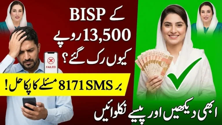 BISP Missed Payment Reasons And Complete Solution: Know Full Details Step By Step
